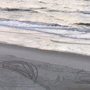 Meet your Posher, Chad